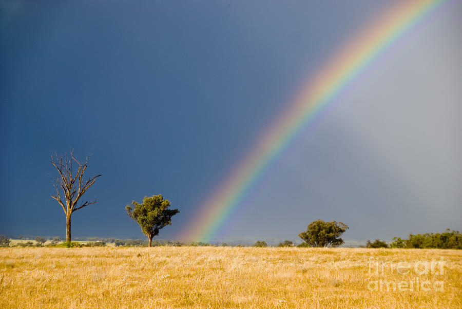 Late Afternoon Rainbow Photograph by Christopher Edmunds - Fine Art America