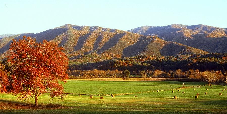 Late Autumn Afternoon in Cades Cove Photograph by Rodney Lee Williams