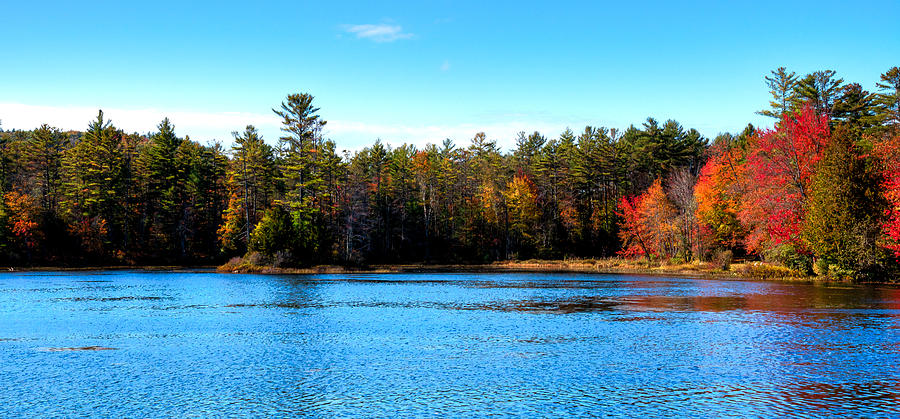 Late Autumn at Loon Lake Photograph by David Patterson - Fine Art America