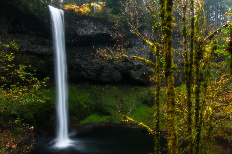 Late Autumn at Silver Falls Photograph by Larry Goss