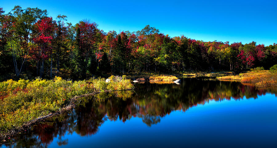 Fall Photograph - Late Autumn Morning in the Adirondacks by David Patterson
