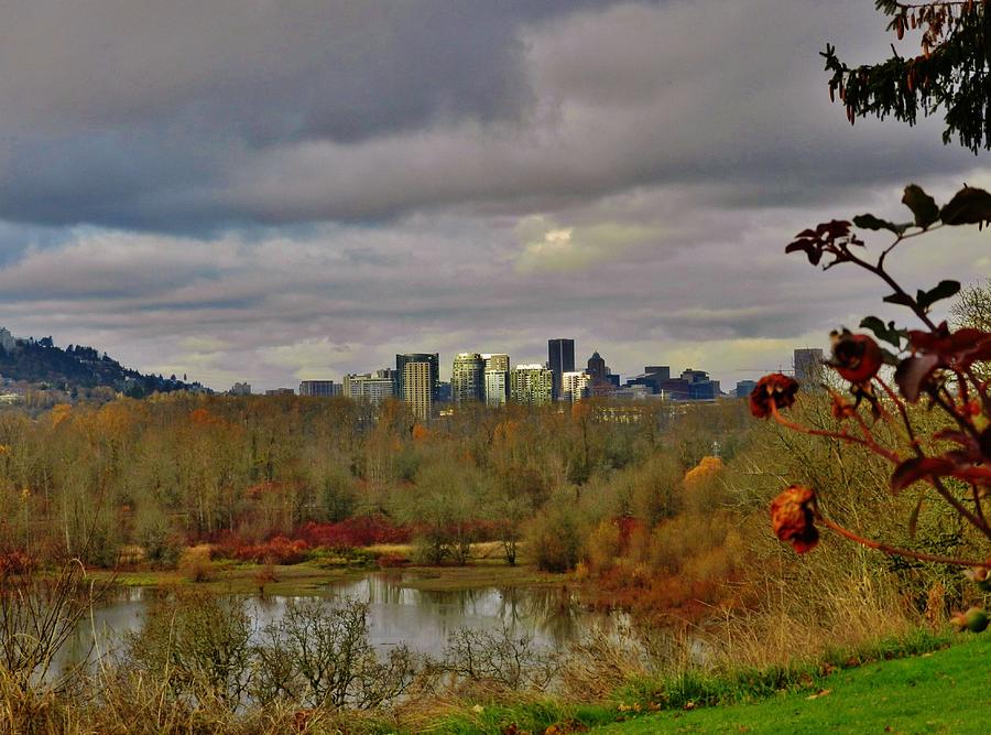 Late Autumn Portland Oregon Photograph by Charles Lucas