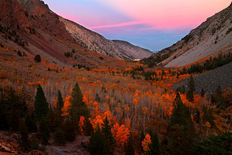 Late autumn sunset at Lundy Canyon in the Eastern Sierras Photograph by Jetson Nguyen
