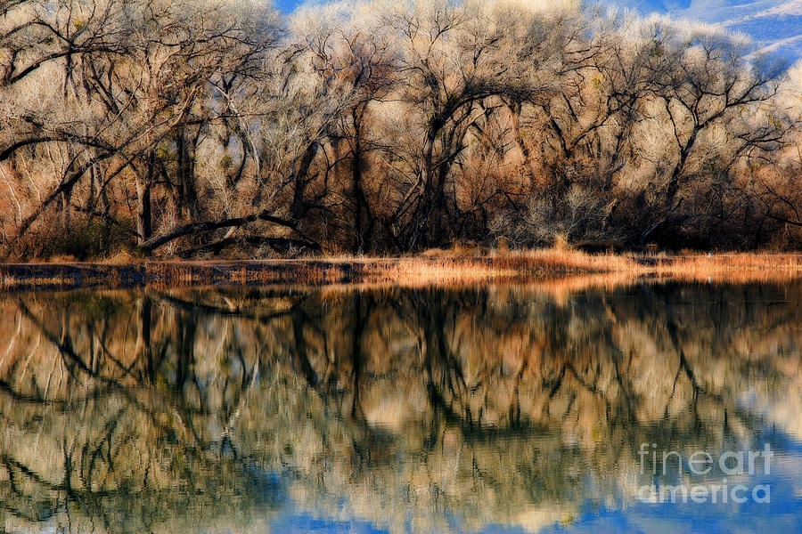 Late December Reflection at Dead Horse Photograph by Ron Chilston