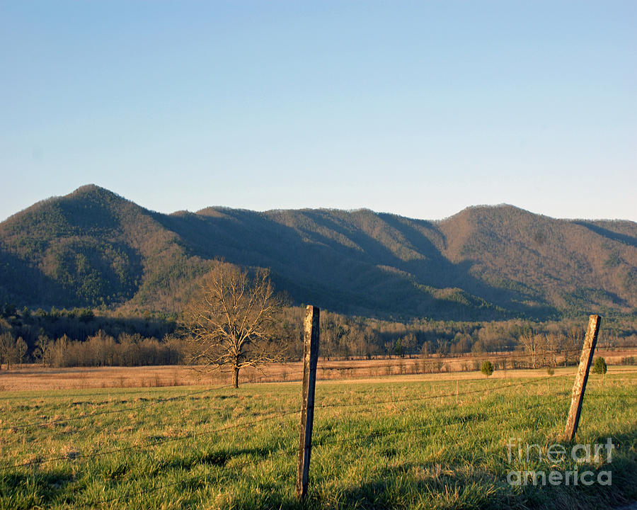 Cades Cove Photograph - Late Evening in the Cove by Roger Potts