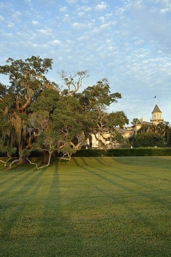 Tree Photograph - Late Evening Shadows at Jekyll Club Hotel by Bruce Gourley