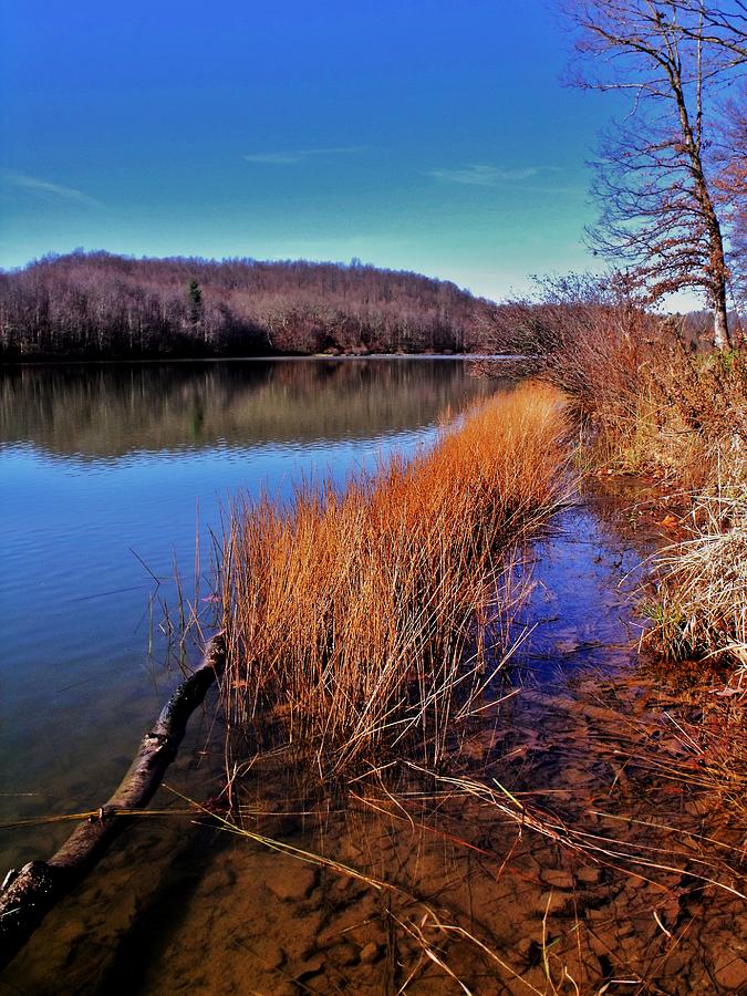 Late Fall at the Lake Photograph by Darrin Martin - Fine Art America