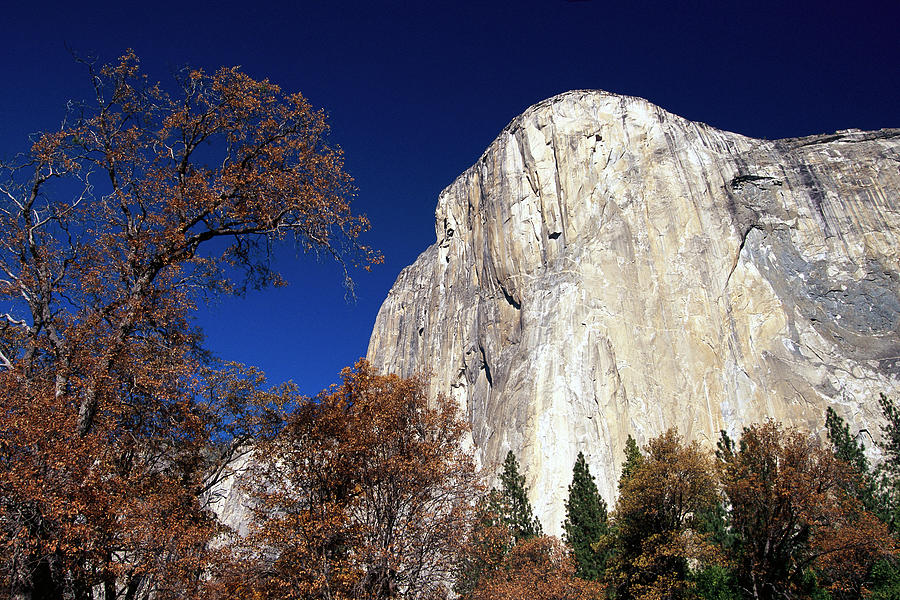 Late Light On Face Of  El Capitan Photograph by Gerry Ellis