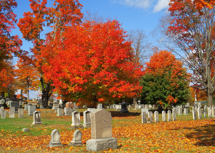 Late Season New Hampshire Foliage Photograph By Richard Griffis - Fine 