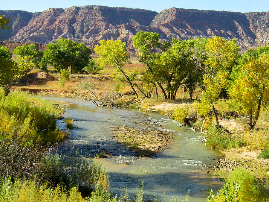 Late Summer And Early Fall On The Virgin River Near Zion National Park ...