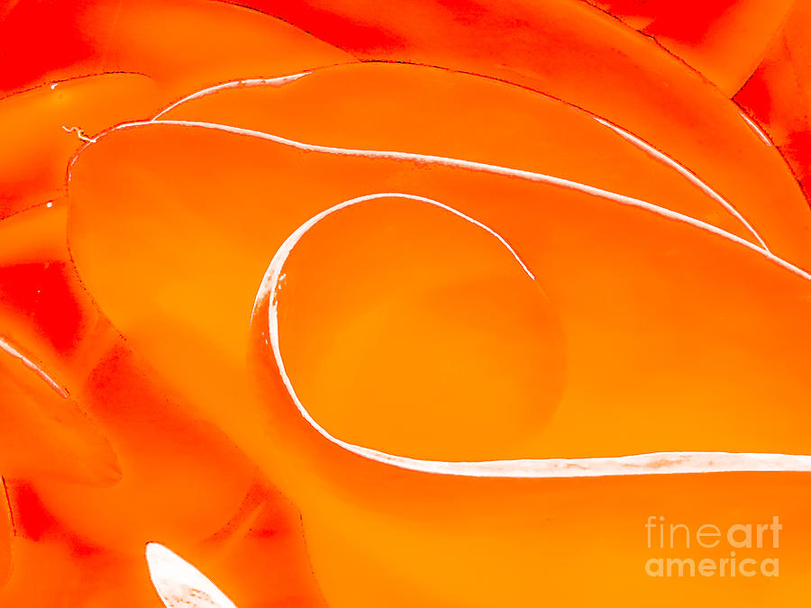 Abstract Photograph - Noon by Fei A