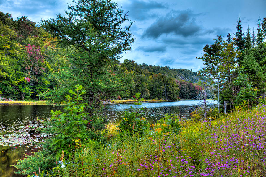 Late Summer on Bald Mountain Pond Photograph by David Patterson