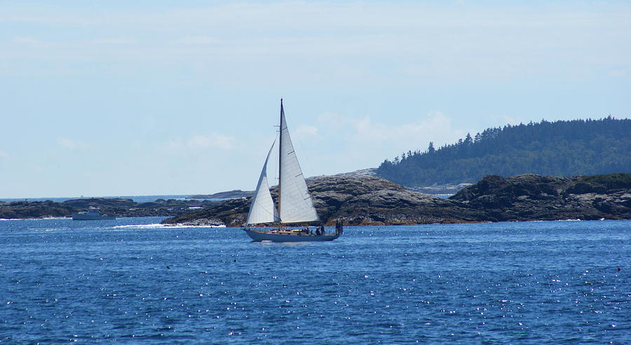 Late Summer Sail Photograph by Lois Lepisto