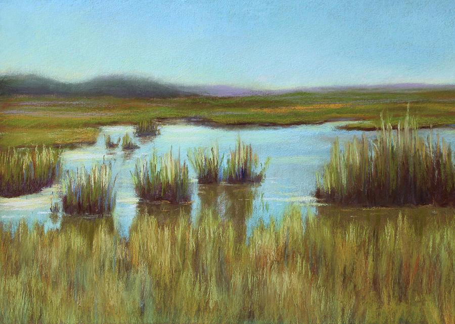Late Sun on the Marsh Pastel by Beth Johnston