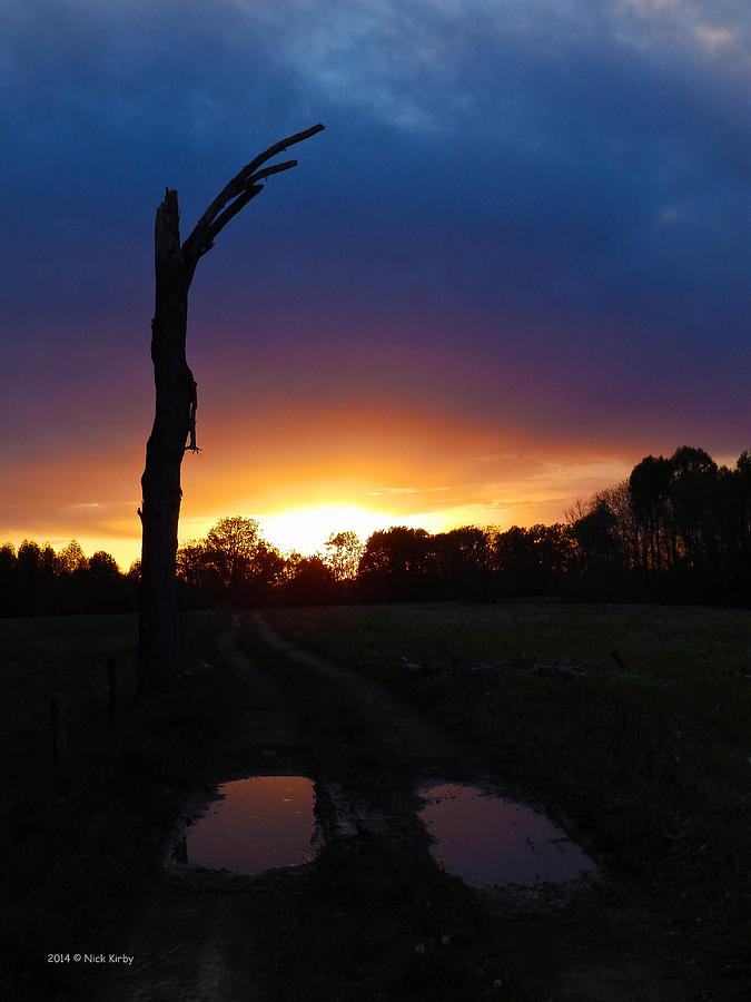 Late Sunset And Tree Photograph by Nick Kirby | Fine Art America