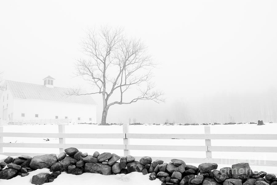 Late Winter at the Farm Photograph by Alana Ranney