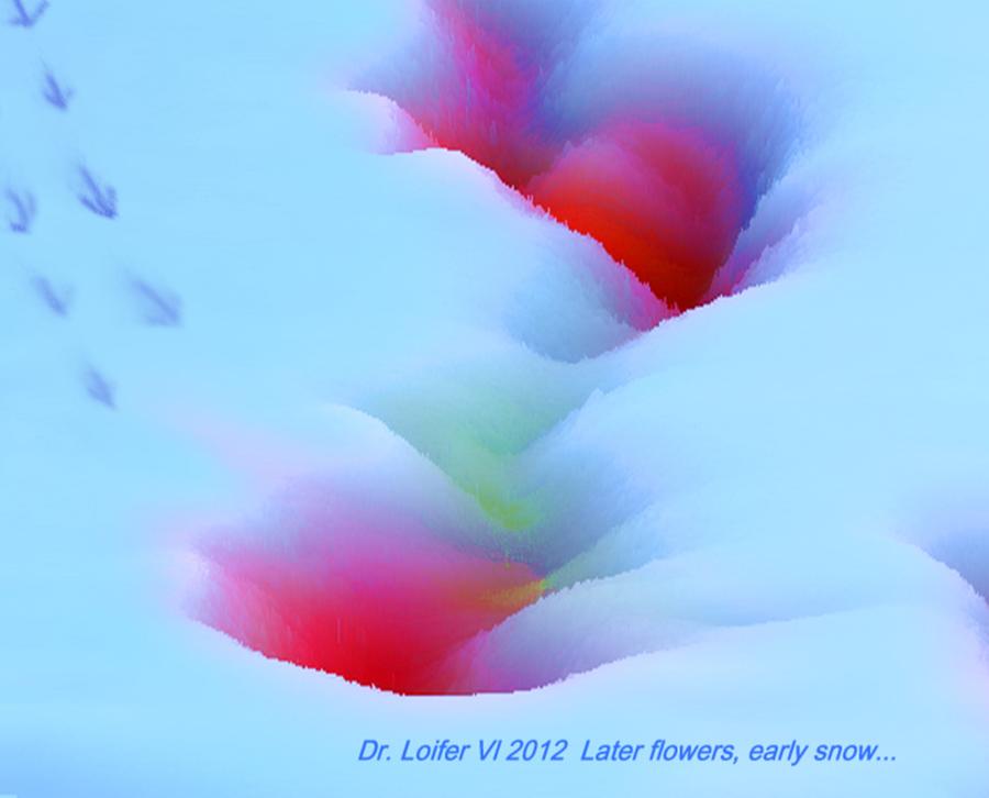 Later flowers  early snow. Digital Art by Dr Loifer Vladimir