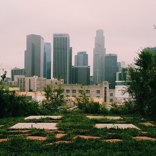 Losangeles Photograph - #latergram From This Mornings Run. I by Andres Cruz