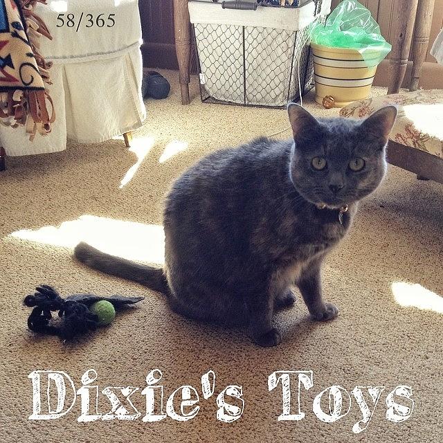 Toy Photograph - #latergram Thursday I Caught #dixie by Teresa Mucha
