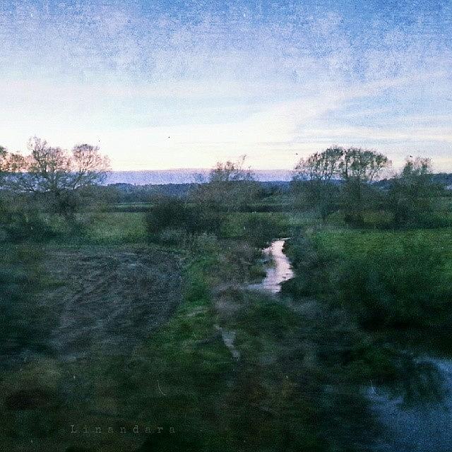 Tree Photograph - #latergram #twilight #stream #river by Linandara Linandara