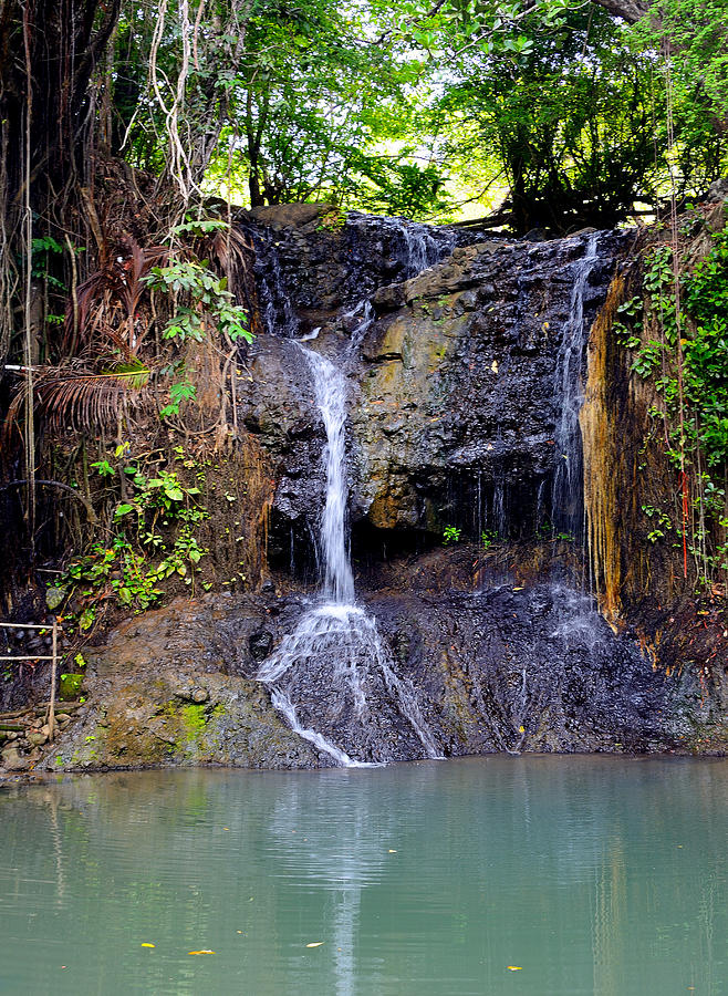 Latille Waterfall - St. Lucia Photograph by Brendan Reals