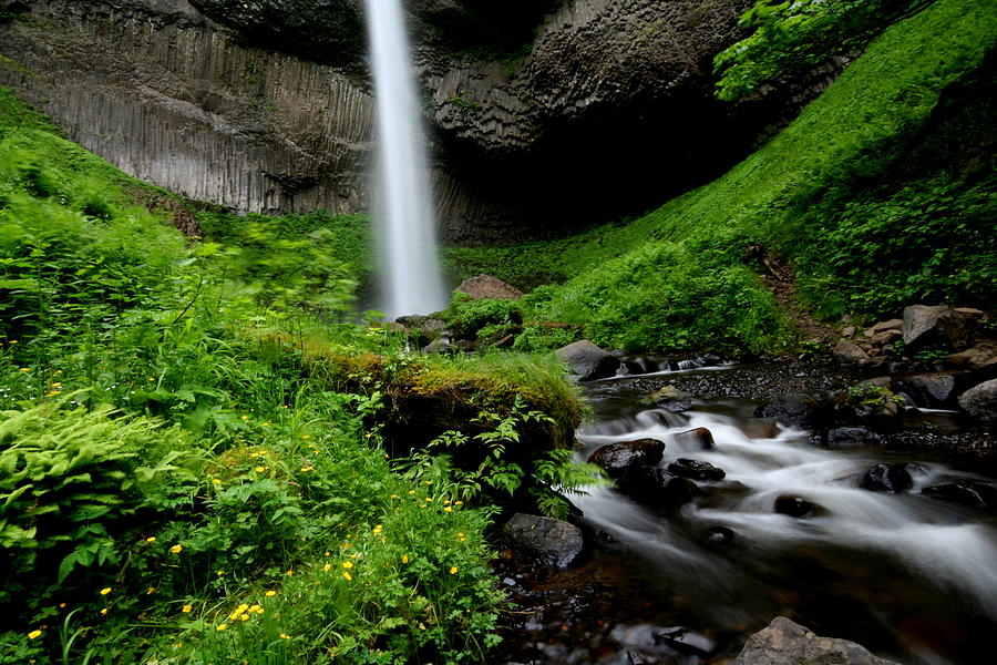 Latourell Falls at Columbia River Gorge Photograph by Jetson Nguyen