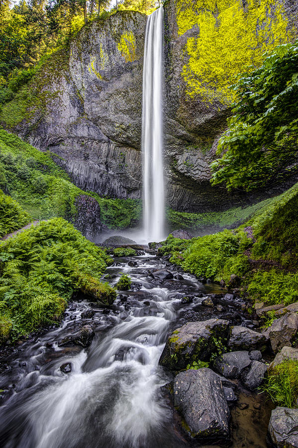 Waterfall Photograph - Latourell Falls by Chris Austin