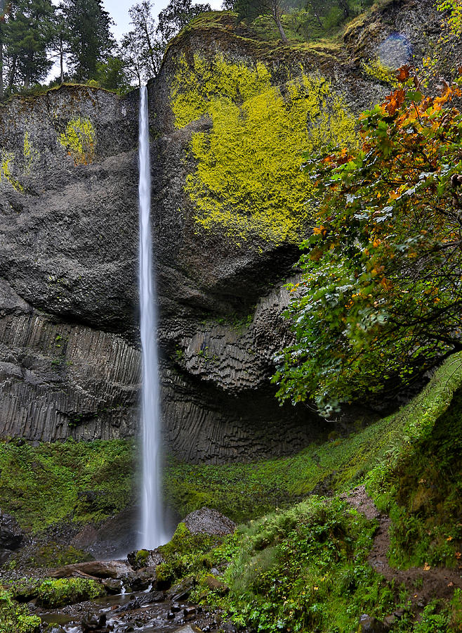 Latourell Falls  Columbia River Gorge Oregon Photograph by Sam Amato