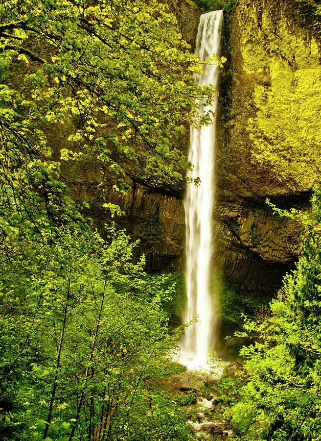 Latourell Falls, Columbia River Gorge Photograph by Steve Bly