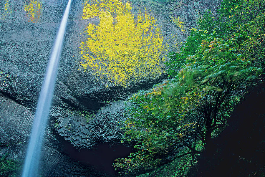 Latourell Falls Photograph by Doug Davidson