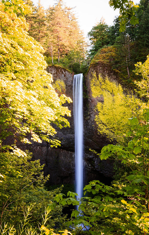 Latourell Falls In Oregon Photograph by Athena Mckinzie