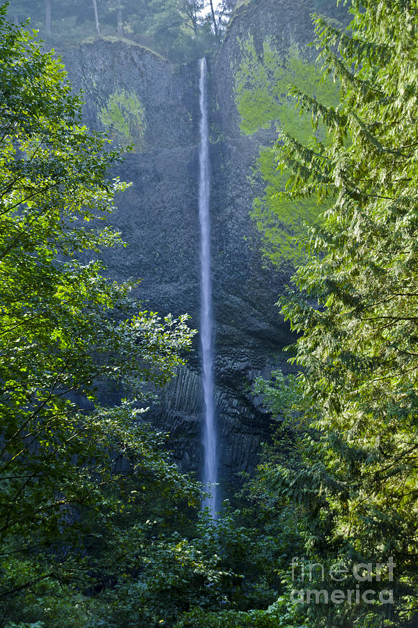 Latourell Falls Oregon Photograph by L J Oakes