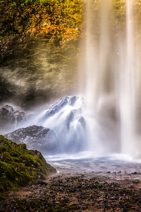 Nature Photograph - Latourell Falls by Thomas Hall