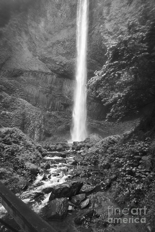 Latourelle falls 10 Photograph by Rich Collins
