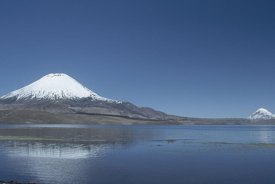 Lauca National Park, Chile Photograph by C.r. Sharp