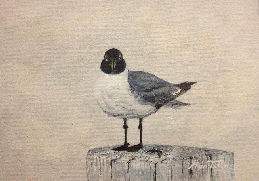 Laughing Gull Painting by Stan Tenney