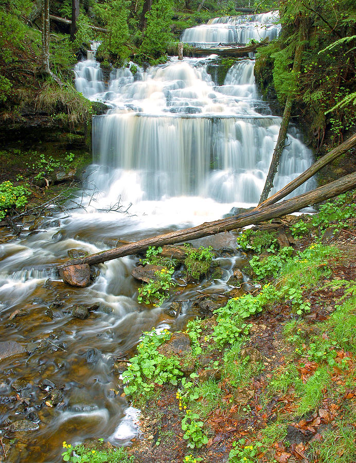 Laughing Whitefish falls Photograph by Pristine Images