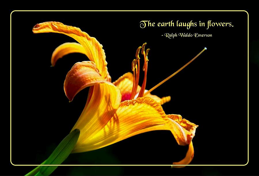 Laughter of Flowers Photograph by Mike Flynn