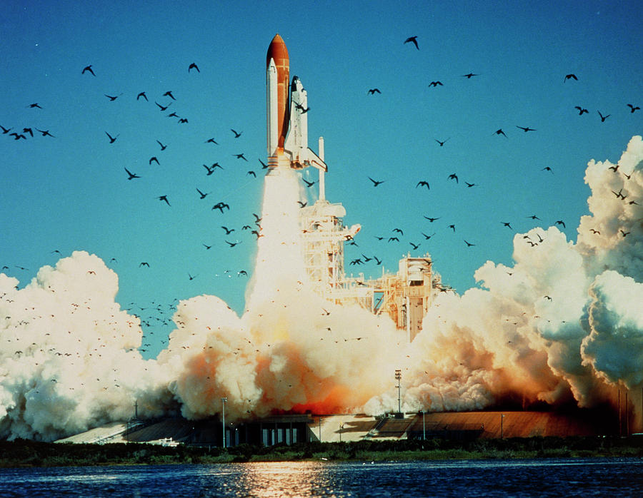 Launch Of Space Shuttle Challenger 51-l Photograph by Nasa/science ...