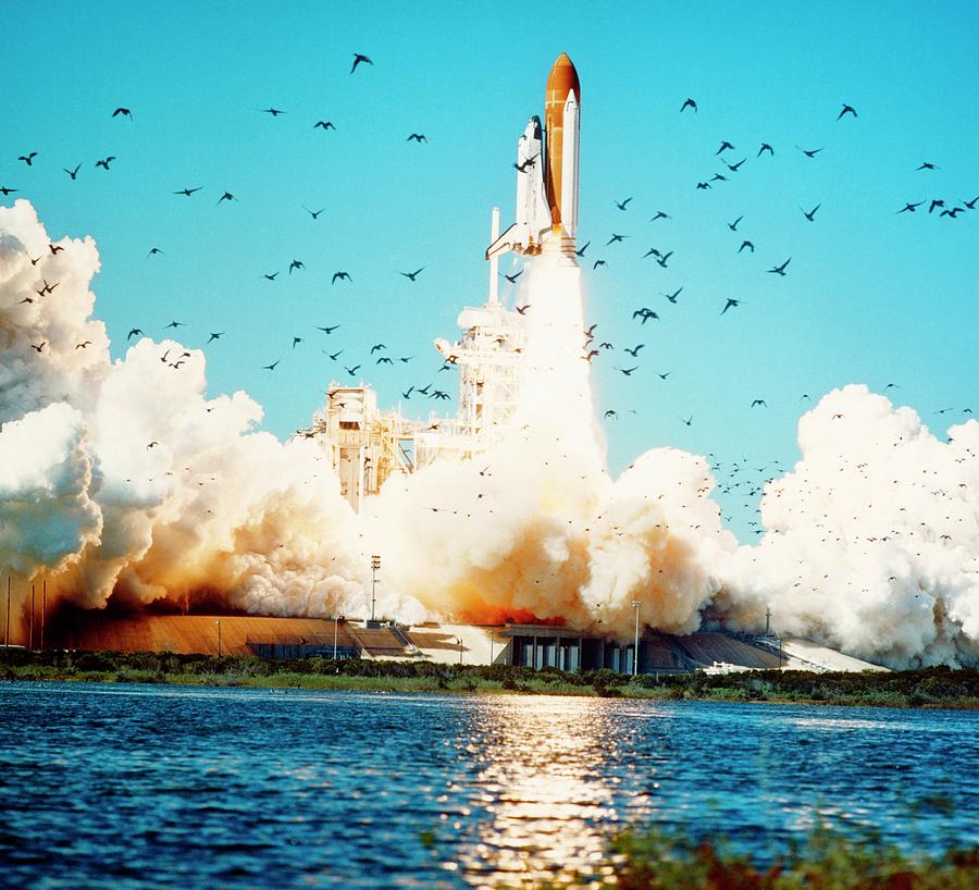 Launch Of The Space Shuttle Challenger Photograph by Nasa/science Photo Library