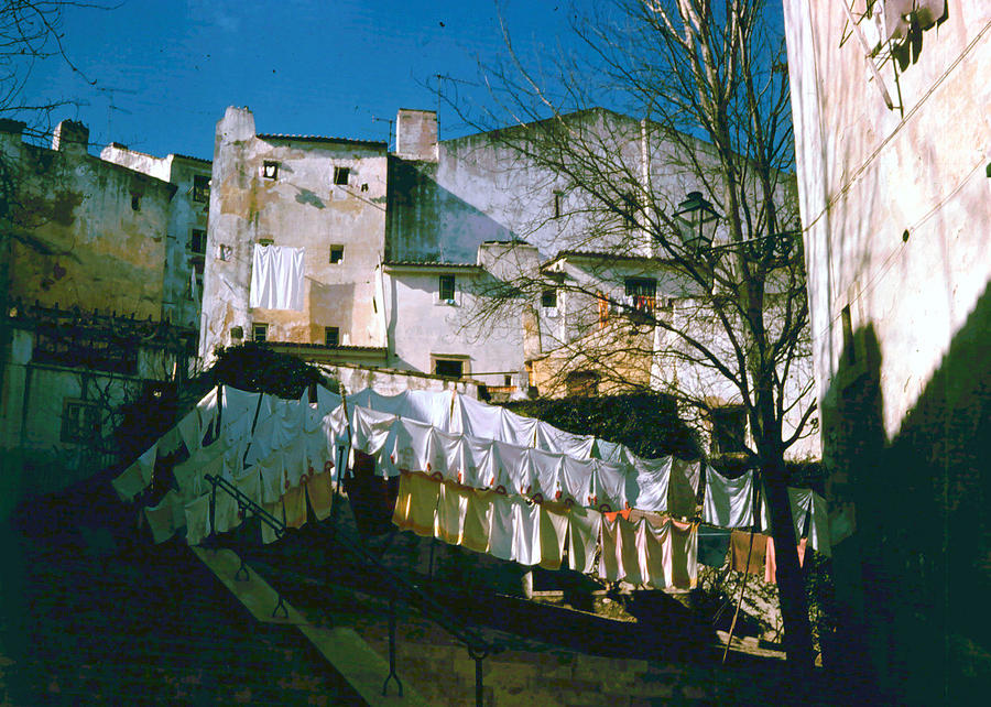 Laundry Day Photograph by Donna Walsh