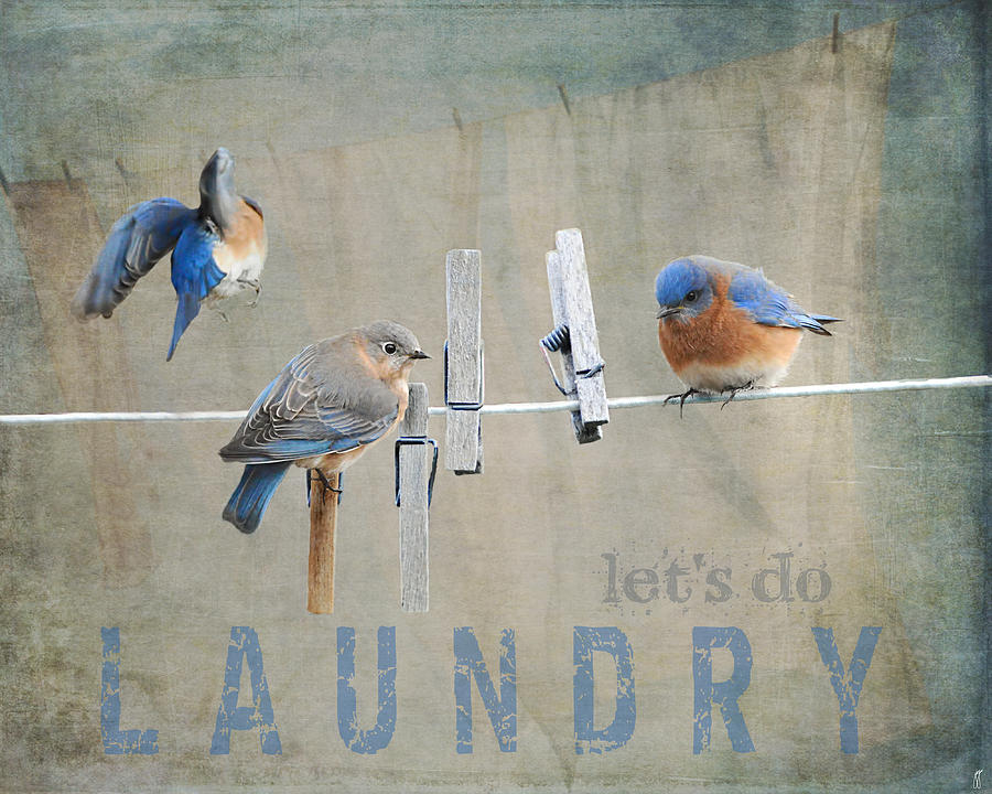 Laundry Day - Lets Do Laundry Photograph by Jai Johnson