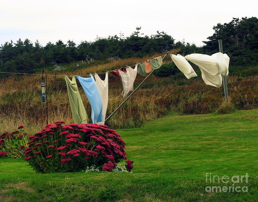 Flower Photograph - Laundry by Patricia Januszkiewicz