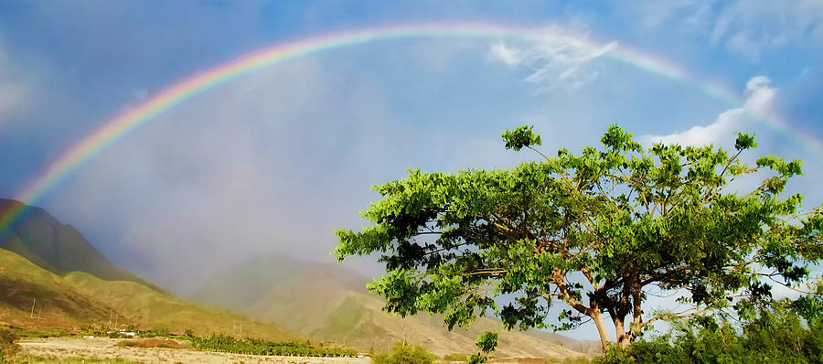 Launiopoko Rainbow 4 Photograph by Dawn Eshelman