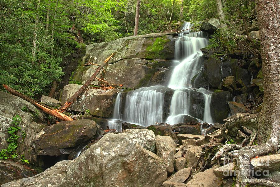 Laurel Falls In The Great Smoky Mountains Photograph by Adam Jewell