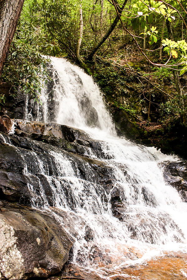 Laurel Falls Smoky Mountains 2 Photograph by Cynthia Woods