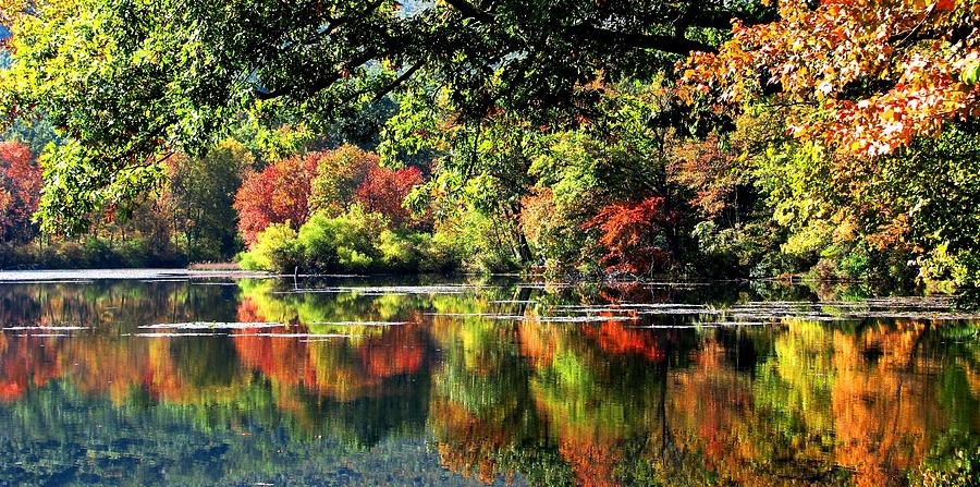 Laurel Lake In October Photograph by Angela Davies