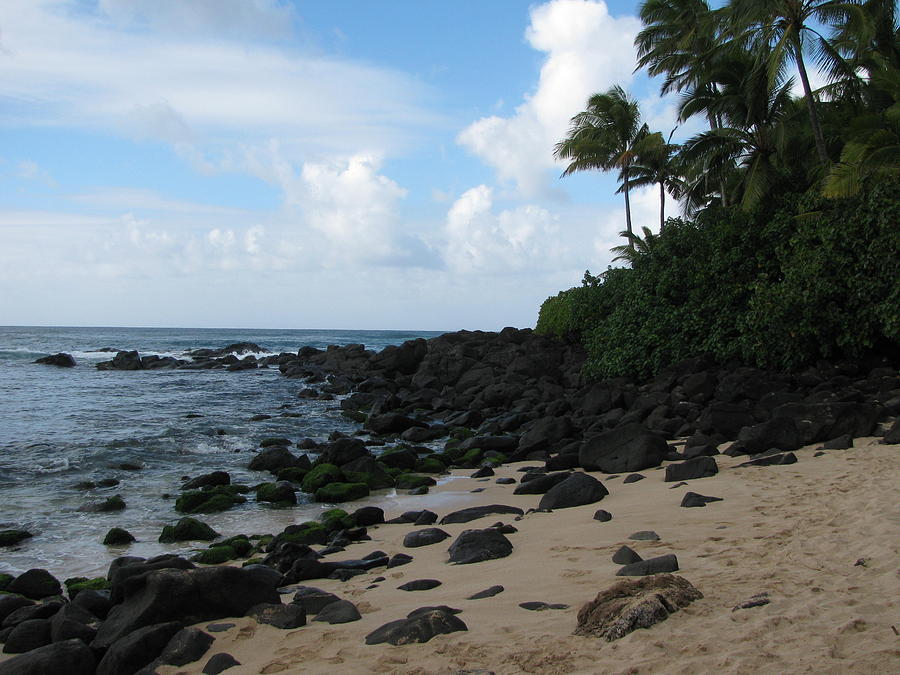 Lava Beach Photograph by Jeffrey Dodson - Fine Art America