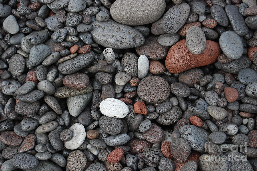 Lava Beach Rocks Photograph by Jani Freimann