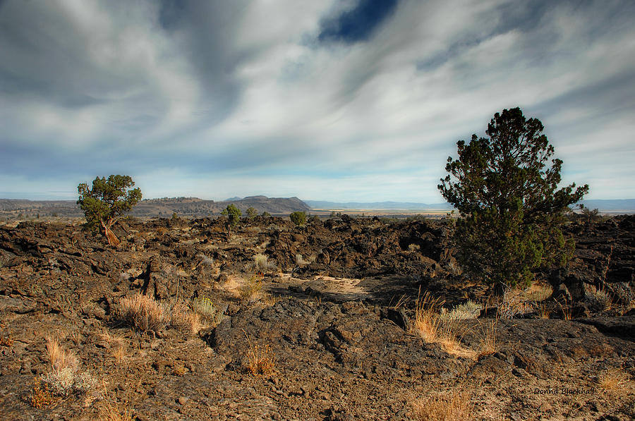 Lava Beds National Monument Photograph by Donna Blackhall